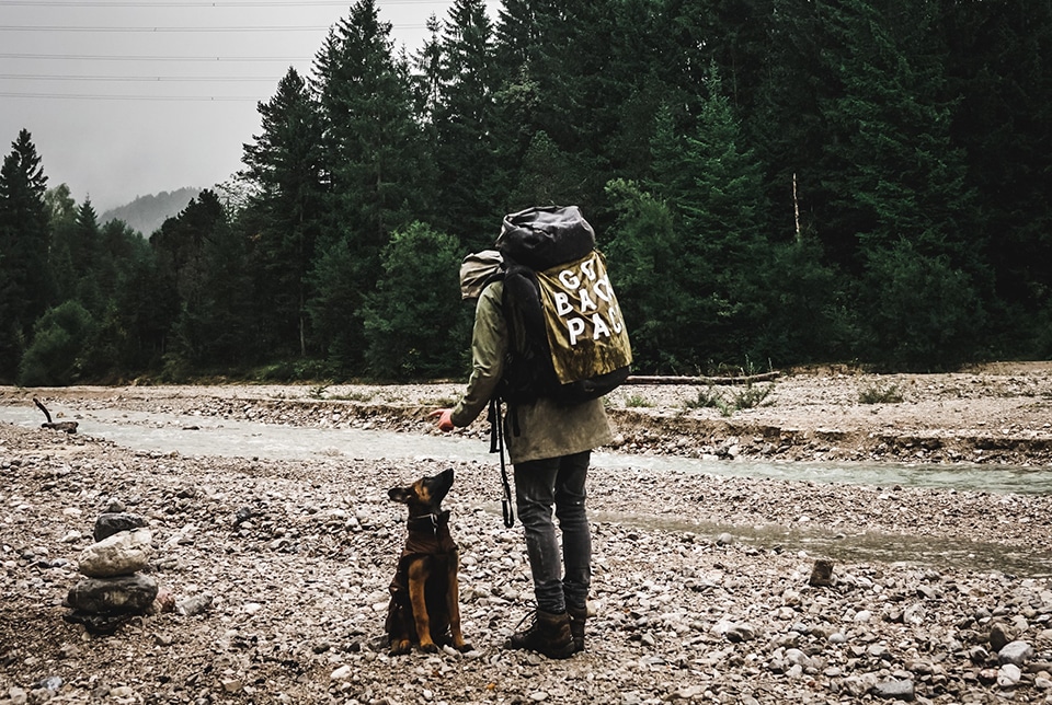 Mann und Hund stehen im Wald für die Jack Wolfskin Kampagne #GOBACKPACK