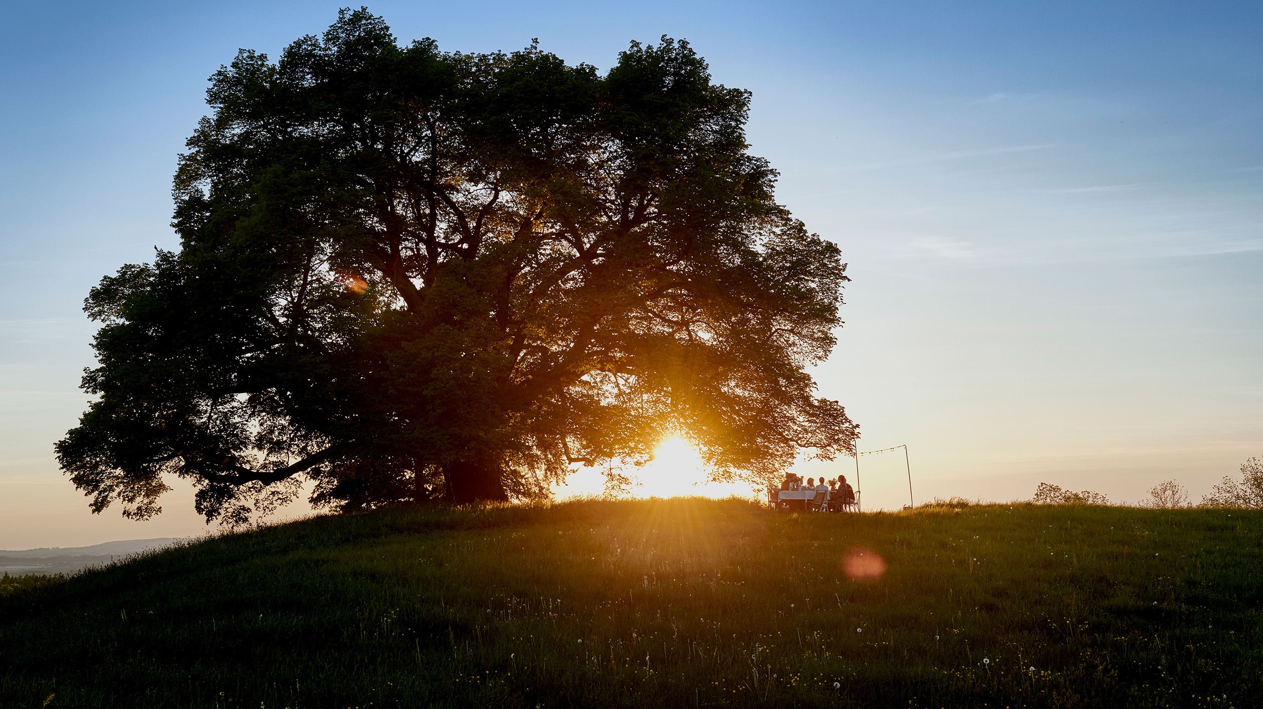 Ein Baum während dem Sonnenuntergang unter dem eine Familie sitzt